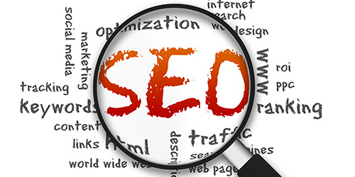 網站SEO實戰(zhàn)案例